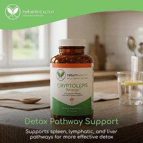 Vue arrière du flacon de Cryptolepis Synergy Return Healthy