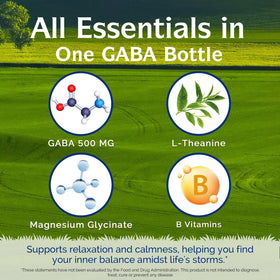 Vue arrière du flacon de GABA Innate Vitality