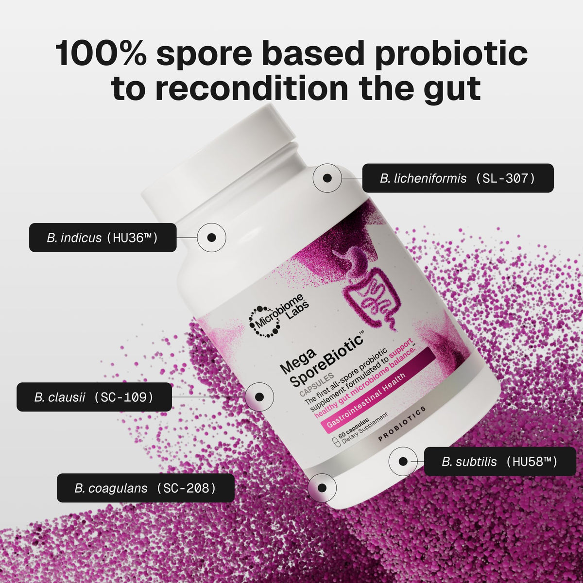 Vue arrière du flacon de Microbiome Labs MegaSporeBiotic