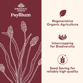 Vue arrière du flacon de poudre de psyllium bio ORGANIC INDIA