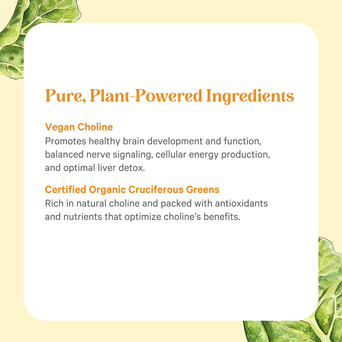 Vue arrière du flacon de PURE SYNERGY Complément de Choline