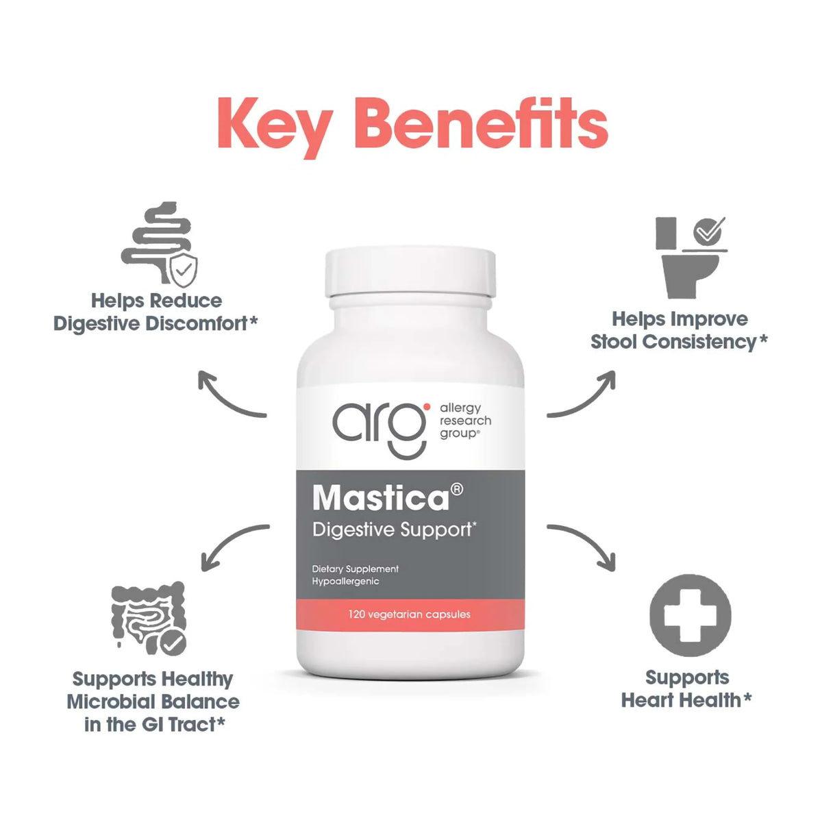 Vue arrière du flacon de résine mastic Chios Allergy Research Group
