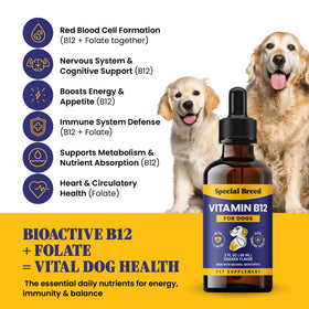 Vue arrière du flacon de Vitamine B12 Liquide Special Breed pour Chiens