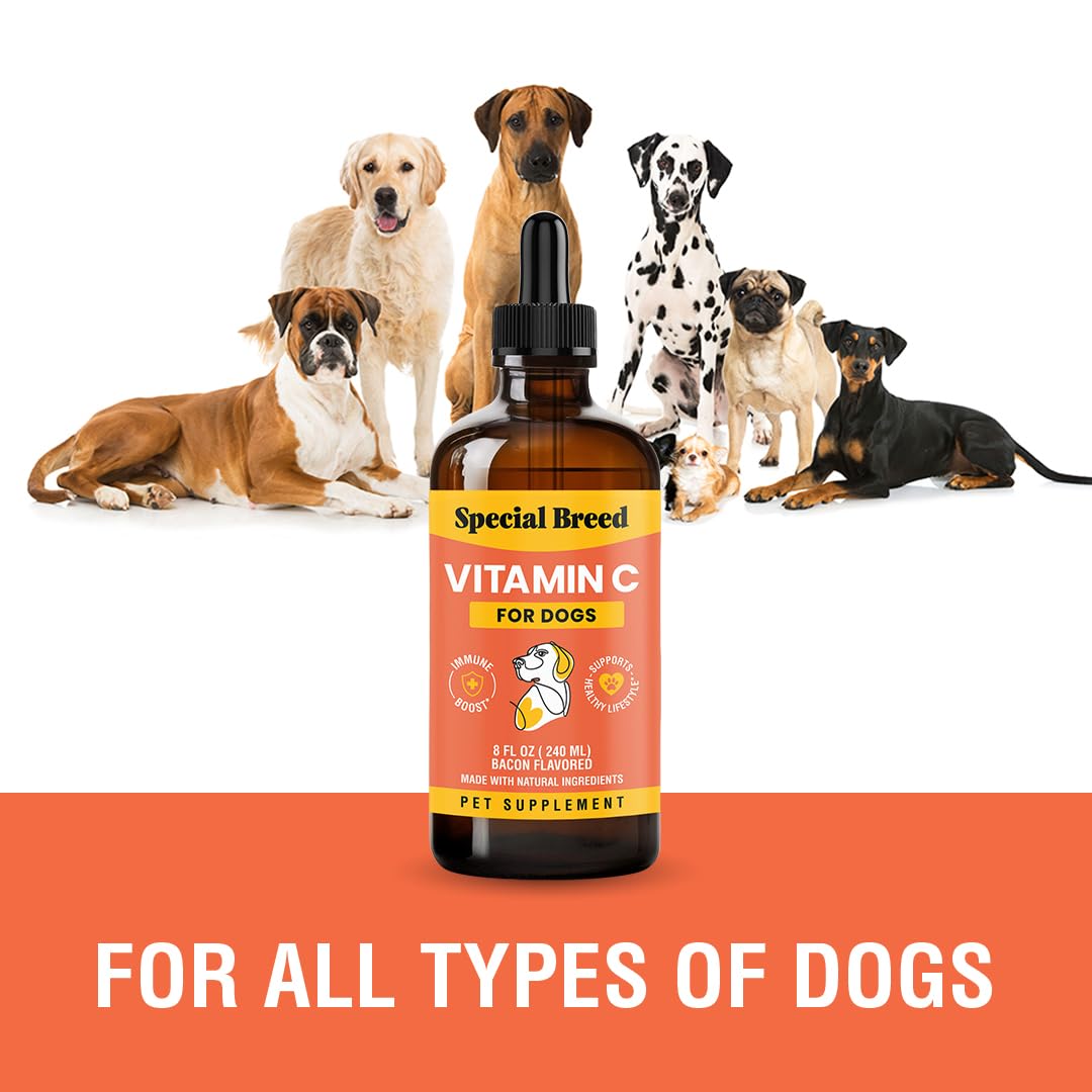 Vue arrière du flacon de vitamine C liquide pour chiens Special Breed