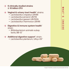 Vue arrière du flacon Jarrow Formulas Fem-Dophilus avec informations nutritionnelles