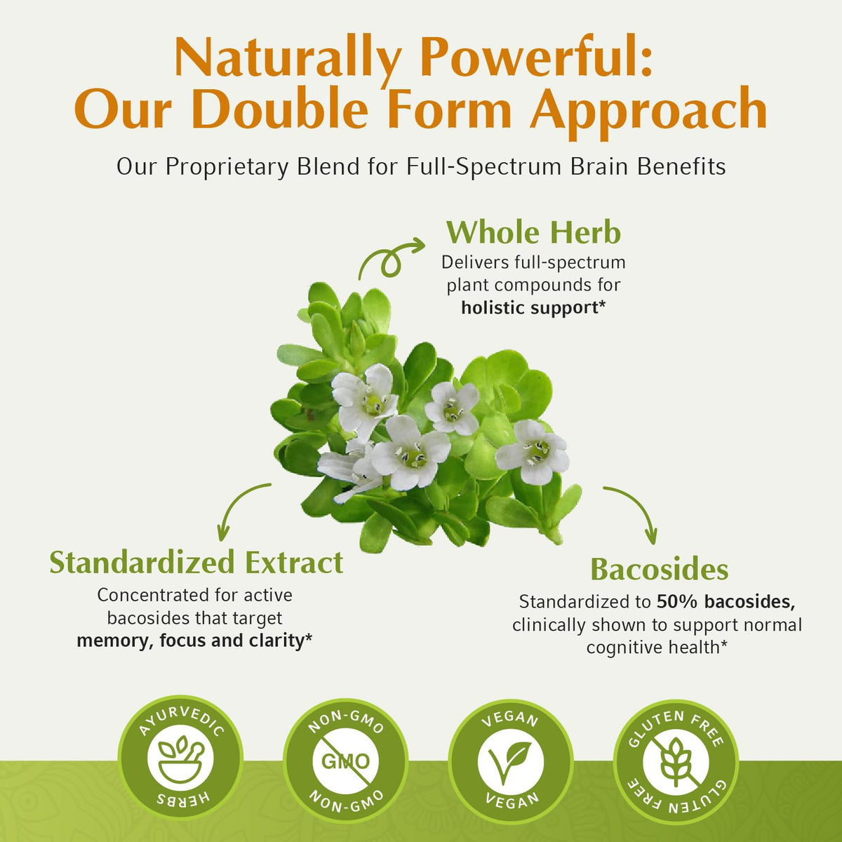 Vue arrière du flacon Jiva Botanicals Bacopa Monnieri 1000mg