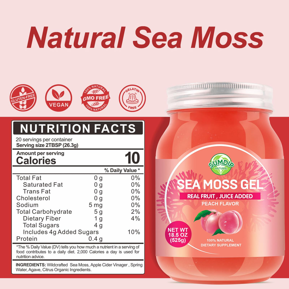 Vue arrière du gel de mousse de mer SumDIP