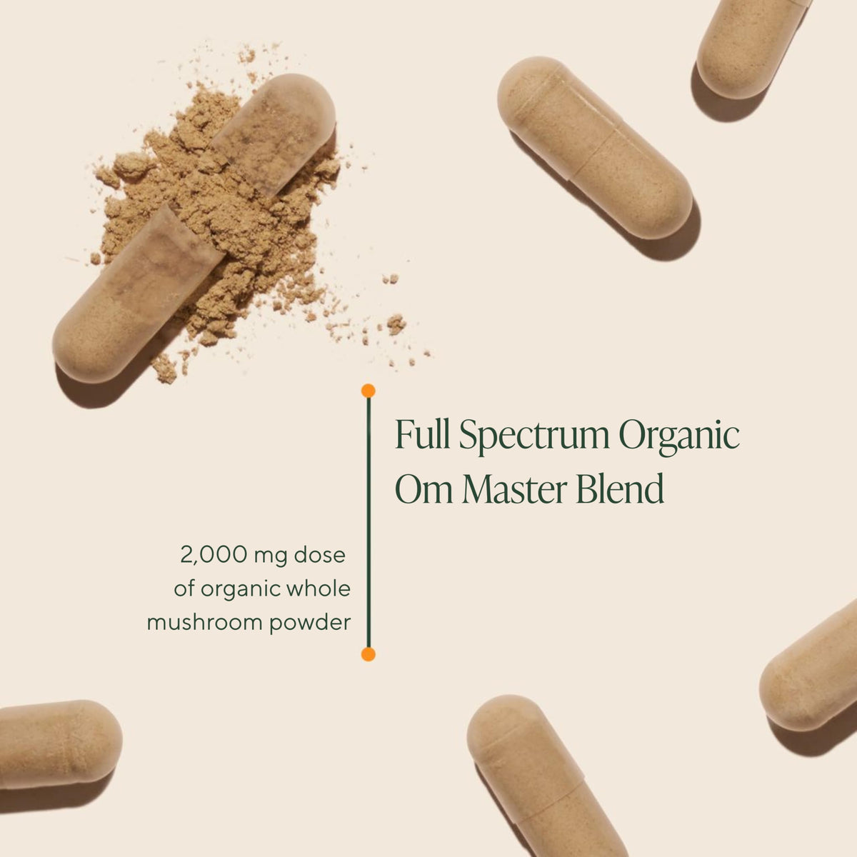 Vue arrière du pot de capsules de champignons OM MUSHROOM SUPERFOOD