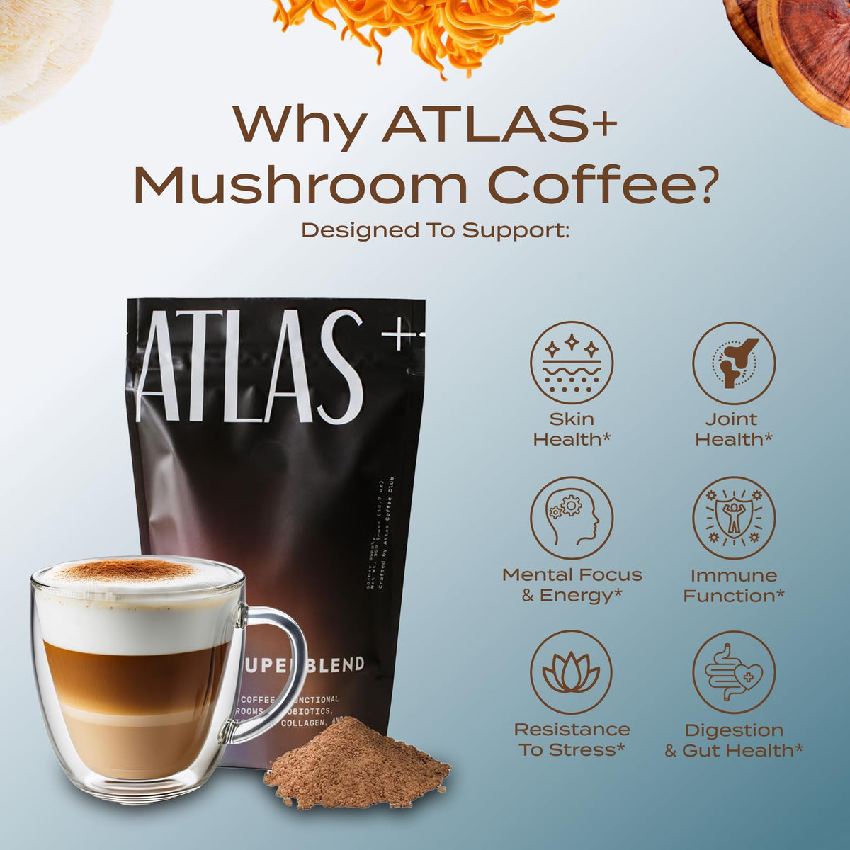 Vue arrière du sachet de Café aux Champignons Superblend Atlas