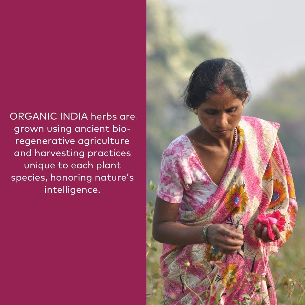 Vue arrière du sachet de poudre Triphala ORGANIC INDIA