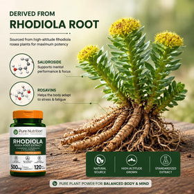 Vue côté de la bouteille de Rhodiola Rosea PURE NUTRITION