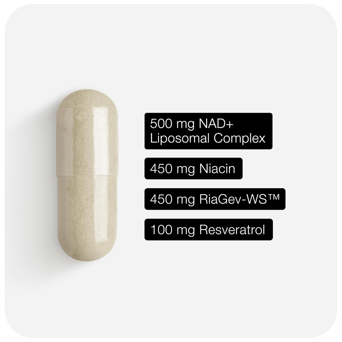 Vue d'ensemble du complément Toniiq NAD+ Liposomal 1500mg sur une table