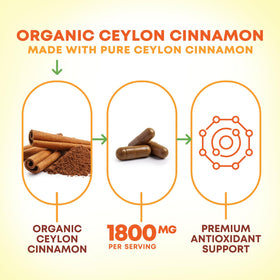 Vue de côté de la bouteille de capsules de cannelle de Ceylan