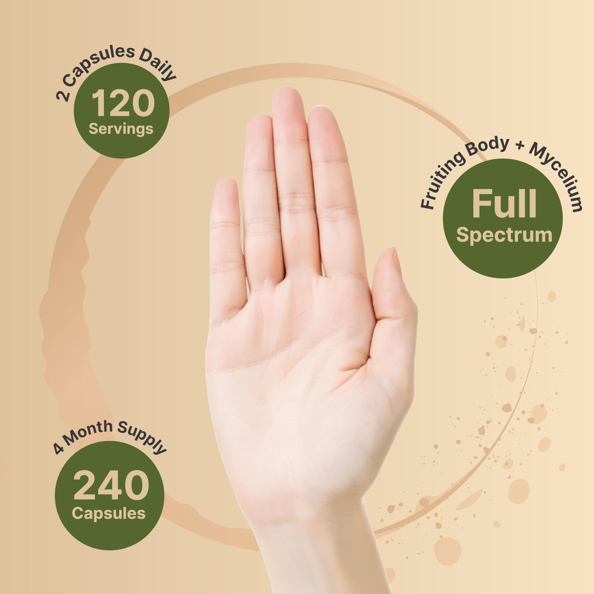 Vue de côté de la bouteille NatureBell Extraits de Champignon Turkey Tail 240 capsules