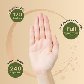 Vue de côté de la bouteille NatureBell Extraits de Champignon Turkey Tail 240 capsules