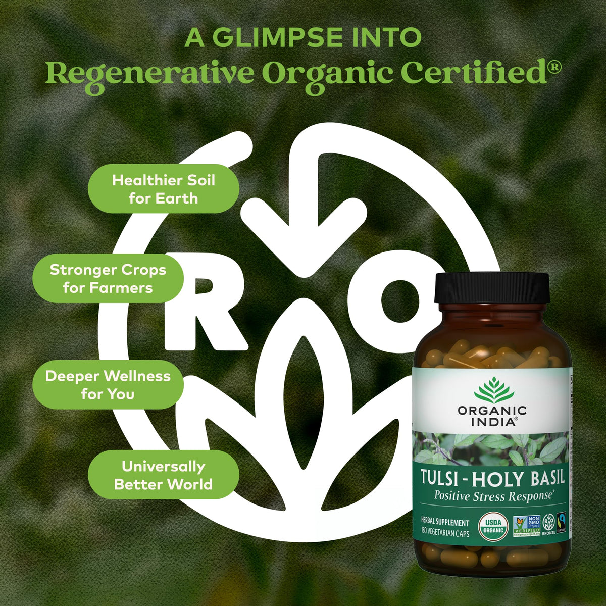 Vue de côté des capsules de basilic sacré bio ORGANIC INDIA