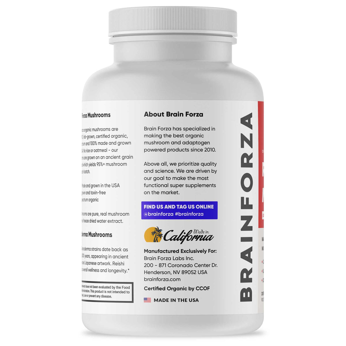Vue de côté des capsules de champignon Reishi Rouge bio Brain Forza