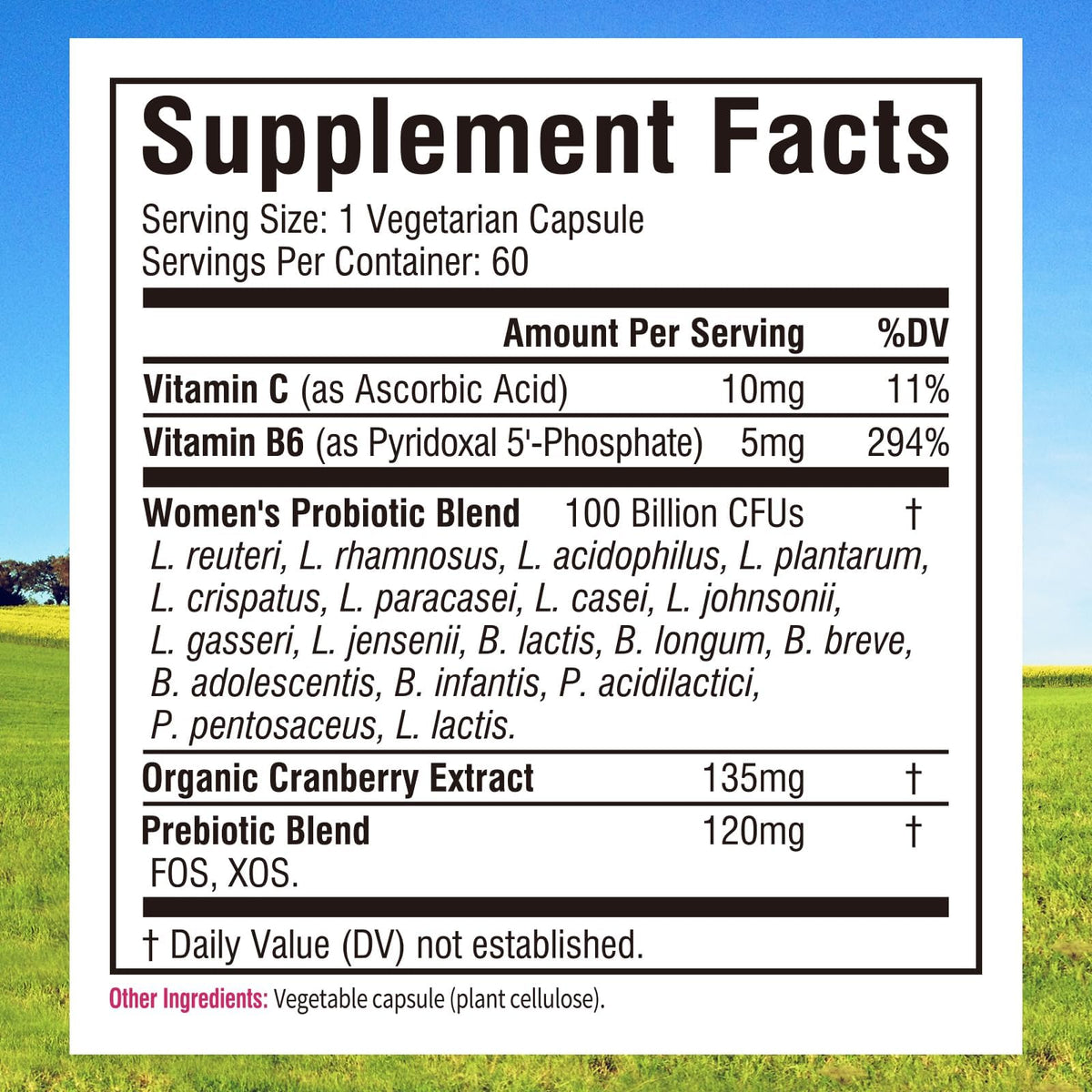 Vue de côté des capsules de probiotiques Innate Vitality