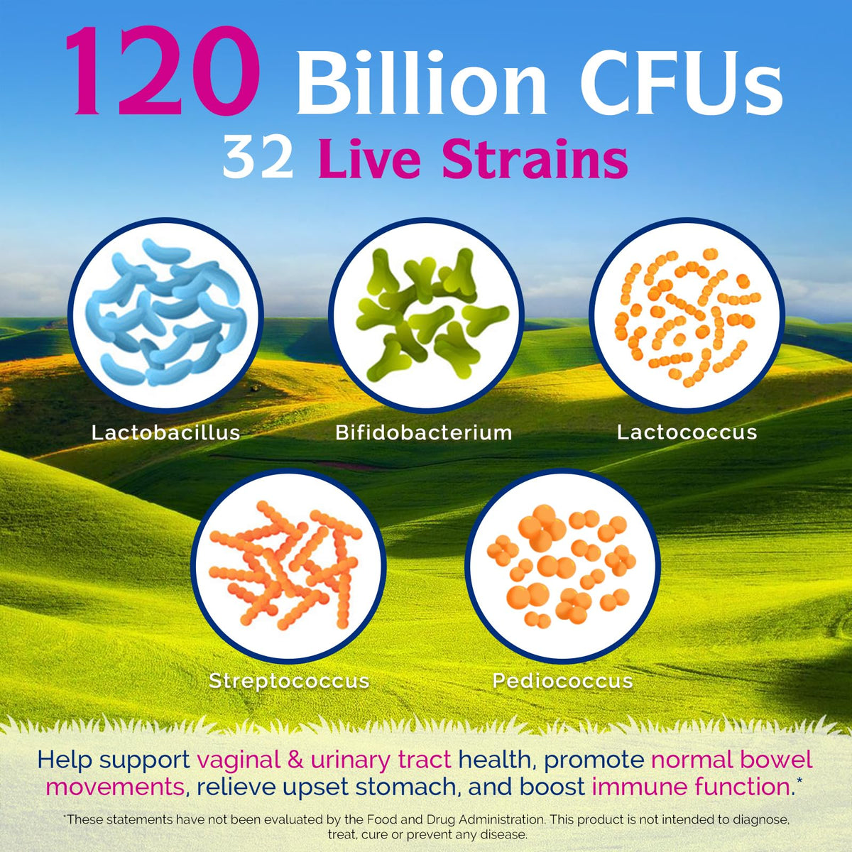 Vue de côté des capsules végétales Innate Vitality