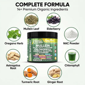 Vue de côté du flacon Clean Nutraceuticals Extrait de Feuille de Molène