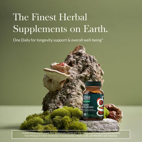 Vue de côté du flacon de capsules de champignon Reishi Gaia Herbs