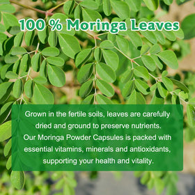 Vue de côté du flacon de capsules de Moringa Balincer