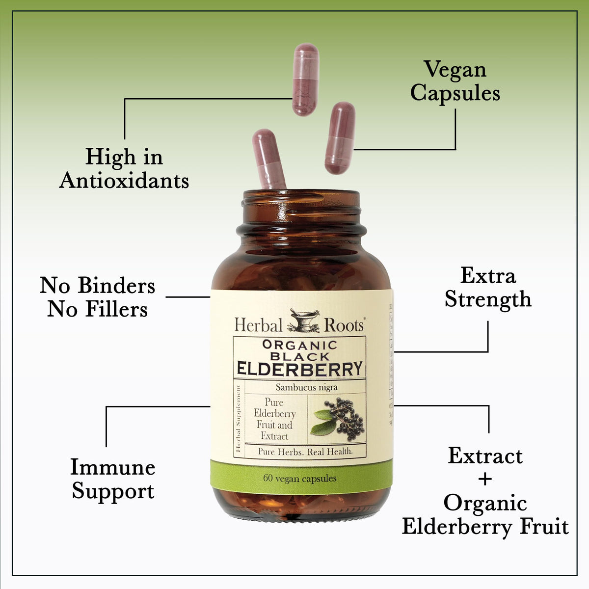 Vue de côté du flacon de capsules de sureau noir bio Herbal Roots