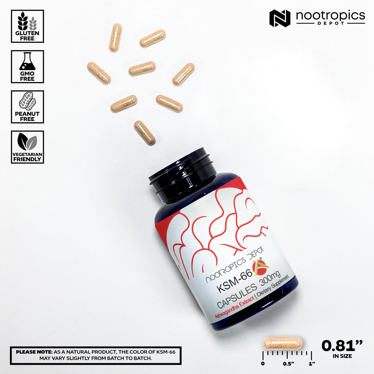 Vue de côté du flacon de KSM-66 Ashwagandha Nootropics Depot