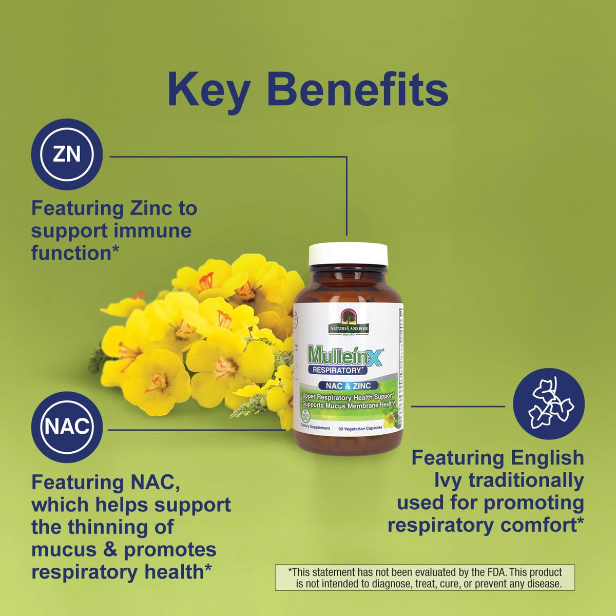 Vue de côté du flacon de MulleinX® 90 capsules
