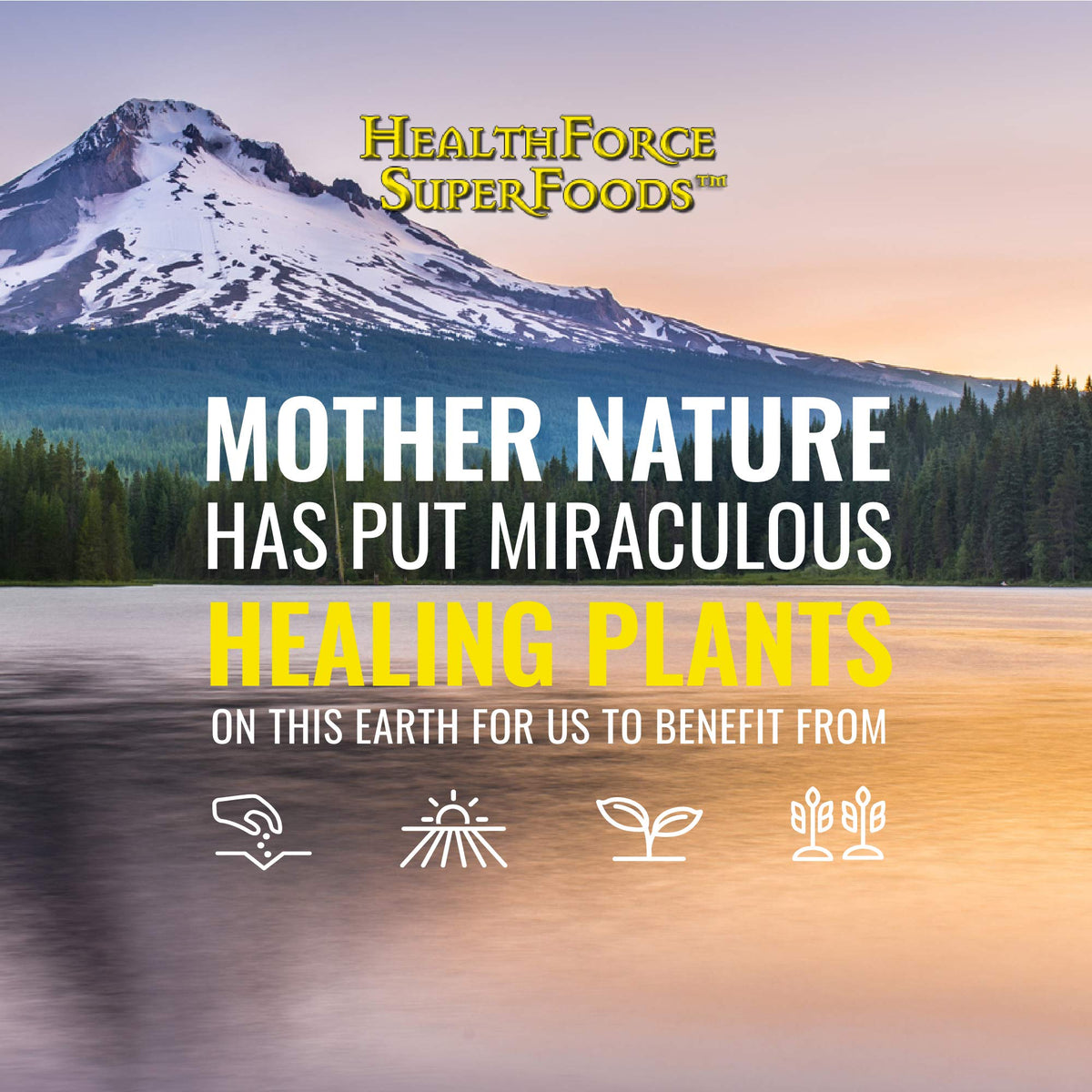 Vue de côté du flacon de Vitamine C HEALTHFORCE SUPERFOODS