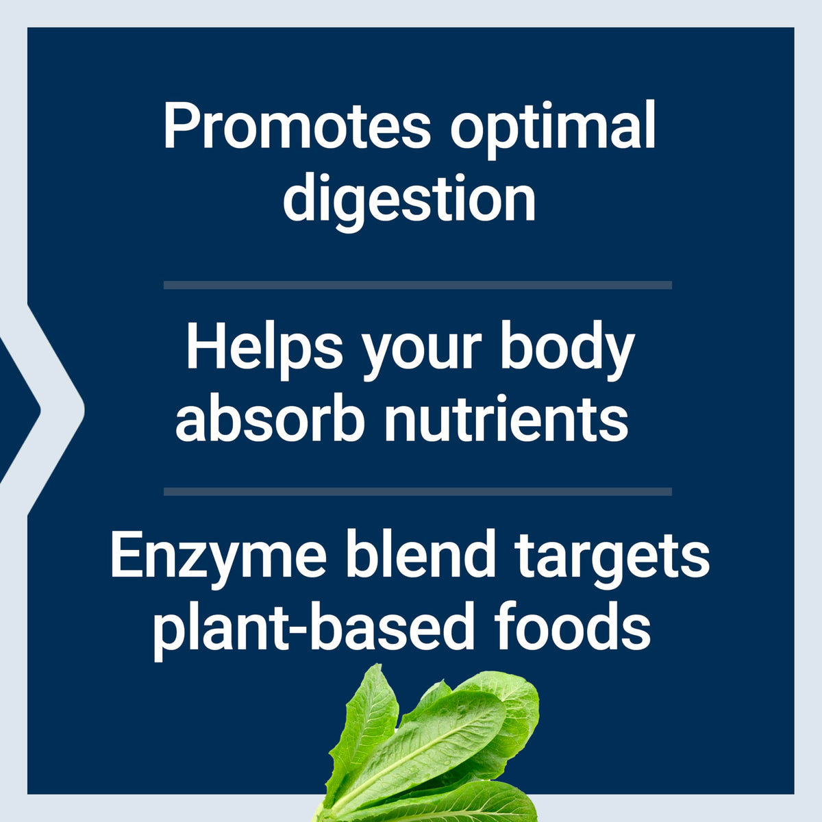 Vue de côté du flacon Life Extension Multi-Enzymes