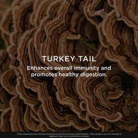 Vue de dessus du flacon de Turkey Tail 120 capsules