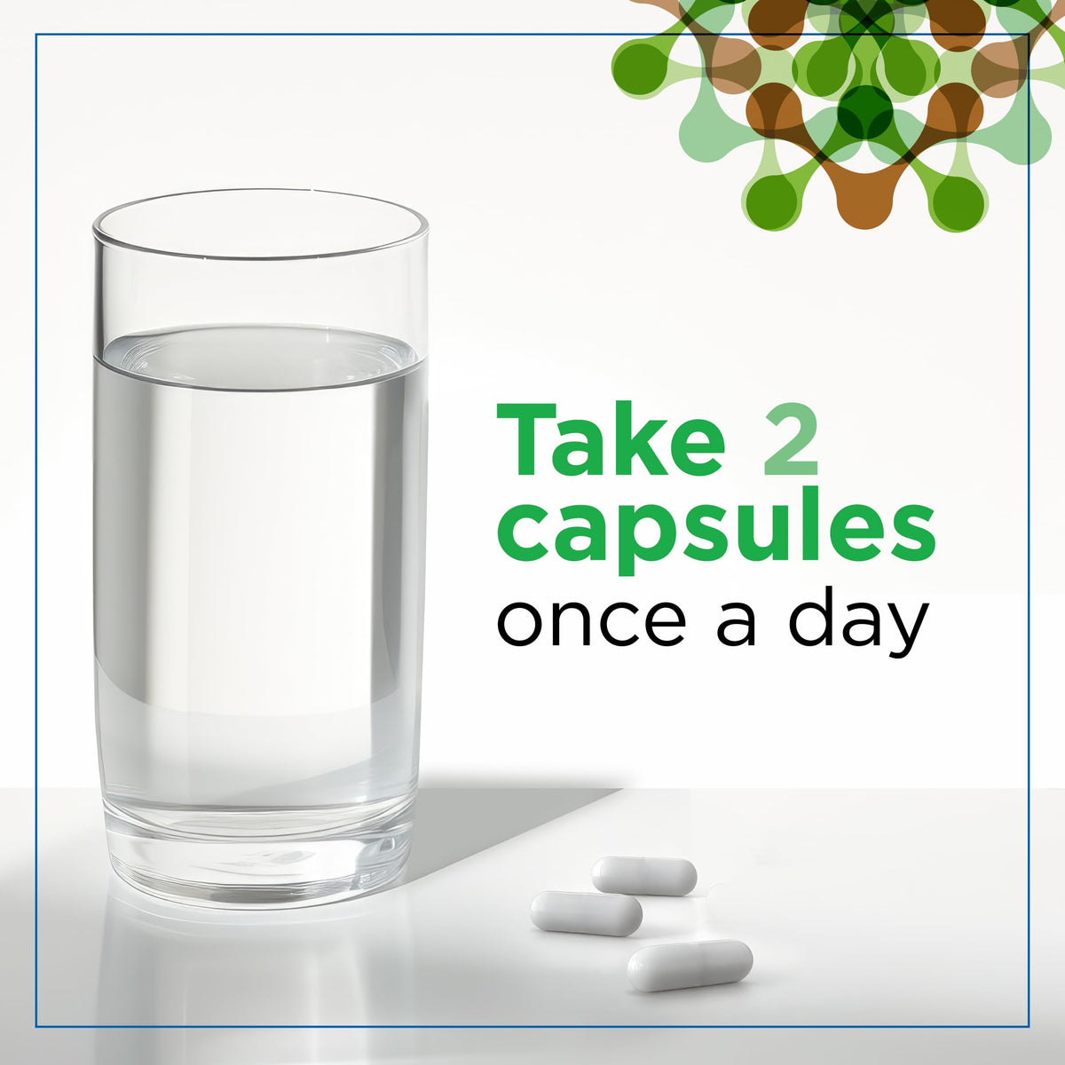 Vue de dos de l'emballage des capsules de Champignon Lion Plantvital