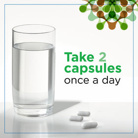 Vue de dos de l'emballage des capsules de Champignon Lion Plantvital