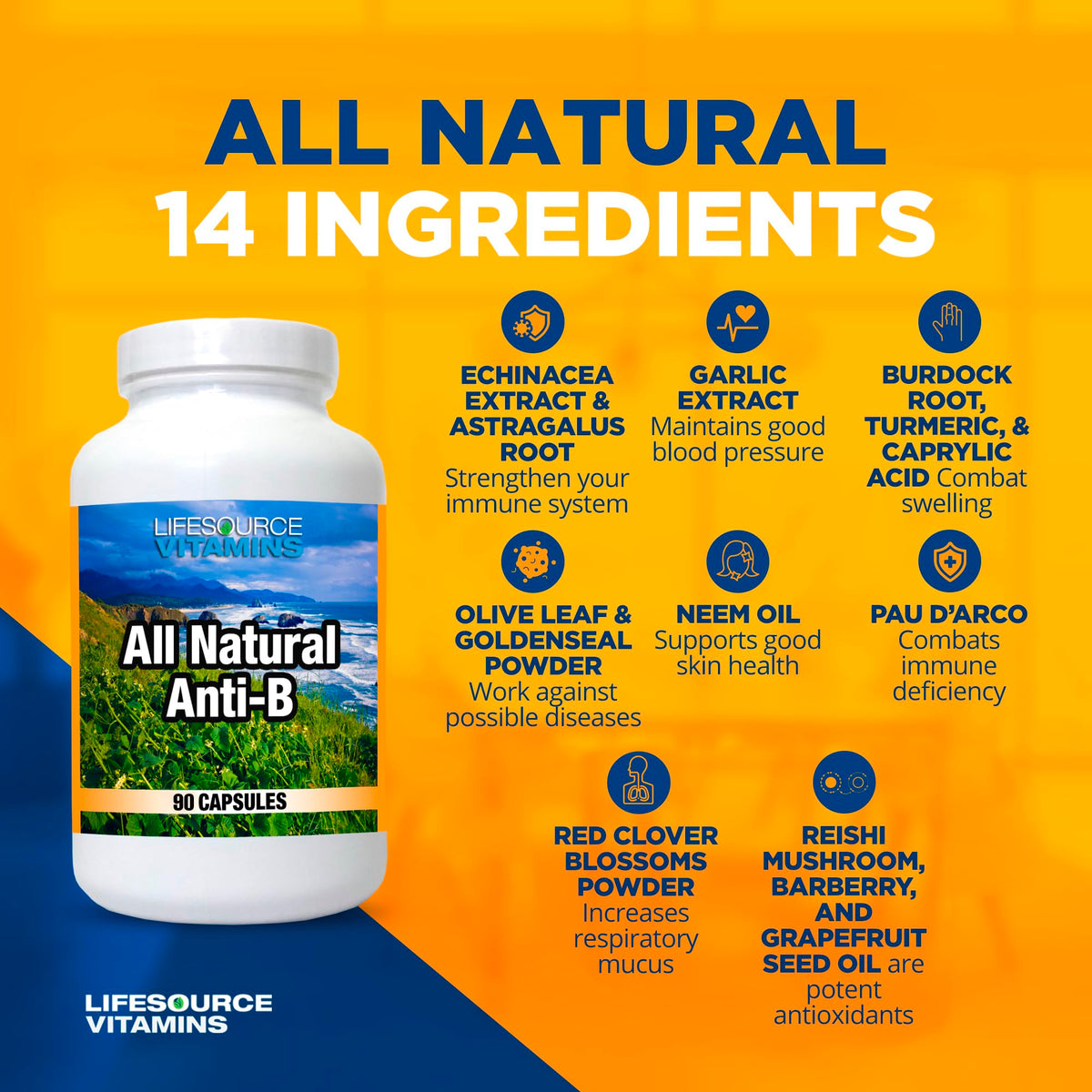 Vue de dos du flacon de LifeSource Vitamins Anti-B