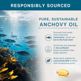 Vue de haut des gélules Igennus Ultra EPA Omega 3