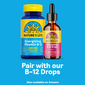 Vue de l'arrière de l'emballage de Nature's Life Vitamine B-2 250 mg