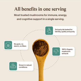 Vue de l'arrière du Complexe de Champignons 5 Défenseurs Real Mushrooms