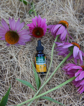 Vue de l'arrière du flacon d'extrait liquide Super Echinacea Herb Pharm