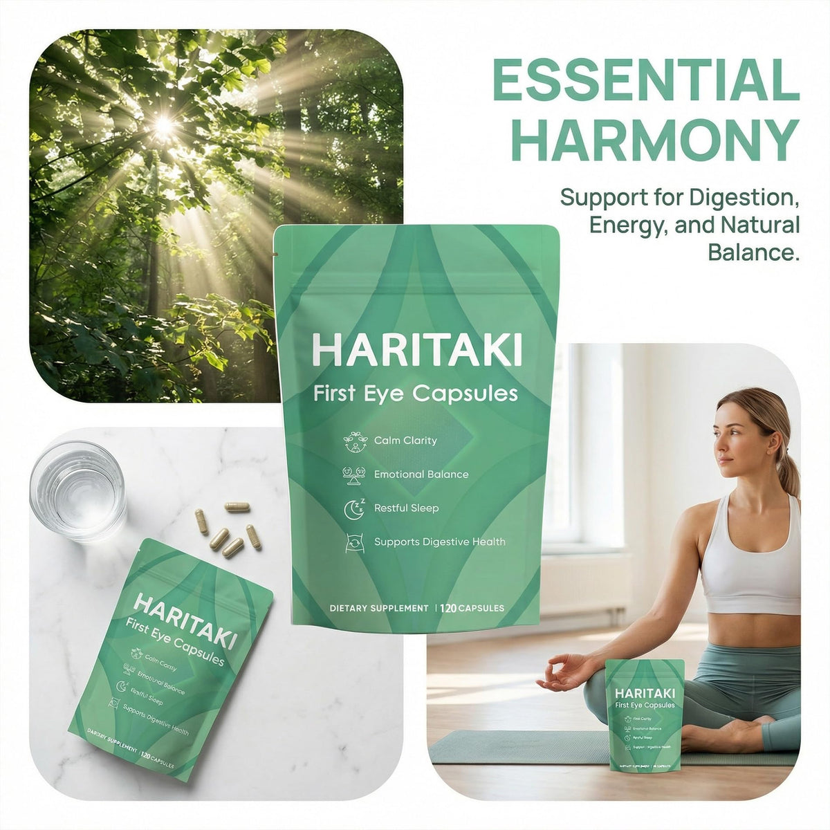 Vue de l'arrière du flacon de capsules bio Haritaki ZALPNUP