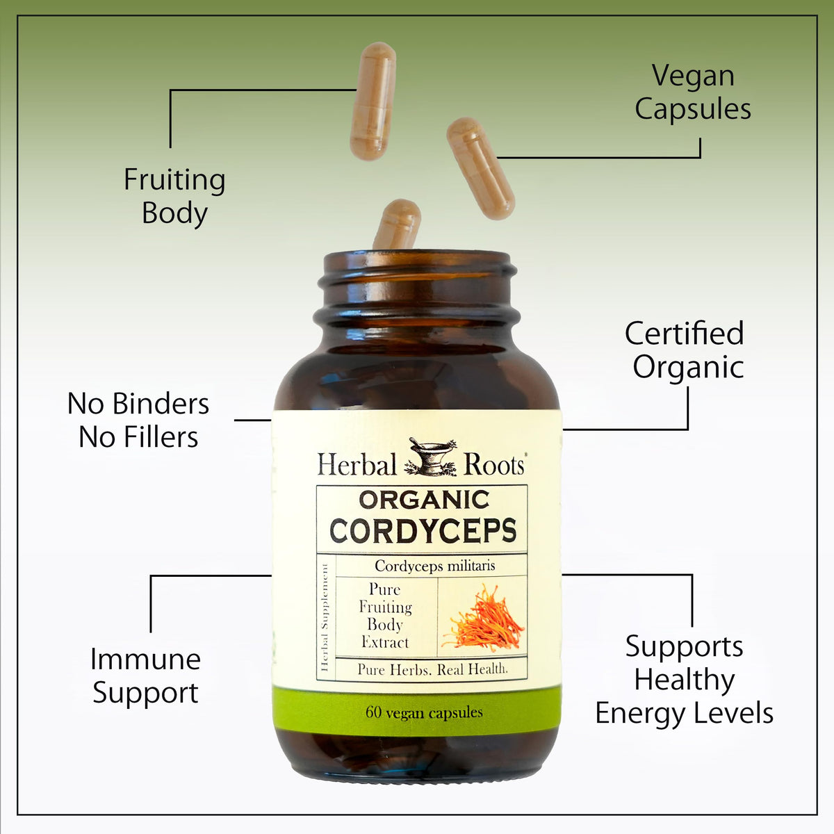 Vue de l'arrière du flacon de Cordyceps Herbal Roots