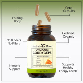 Vue de l'arrière du flacon de Cordyceps Herbal Roots