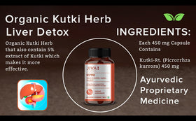 Vue de l'arrière du flacon de Jiva Ayurveda Kutki