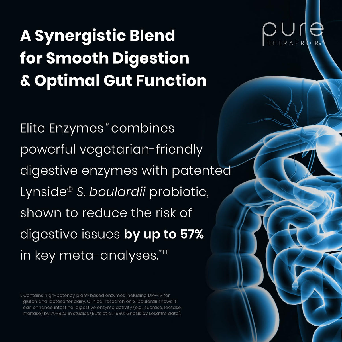 Vue de l'arrière du flacon Pure Therapro Rx Enzymes Plus Probiotics