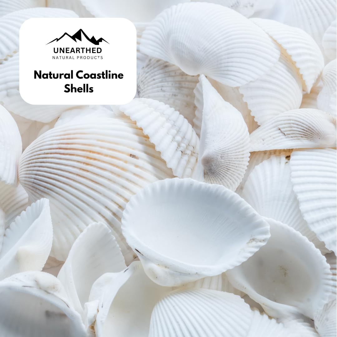 Vue de l'emballage du Calcium de Coquilles d'Huitres Unearthed avec détails