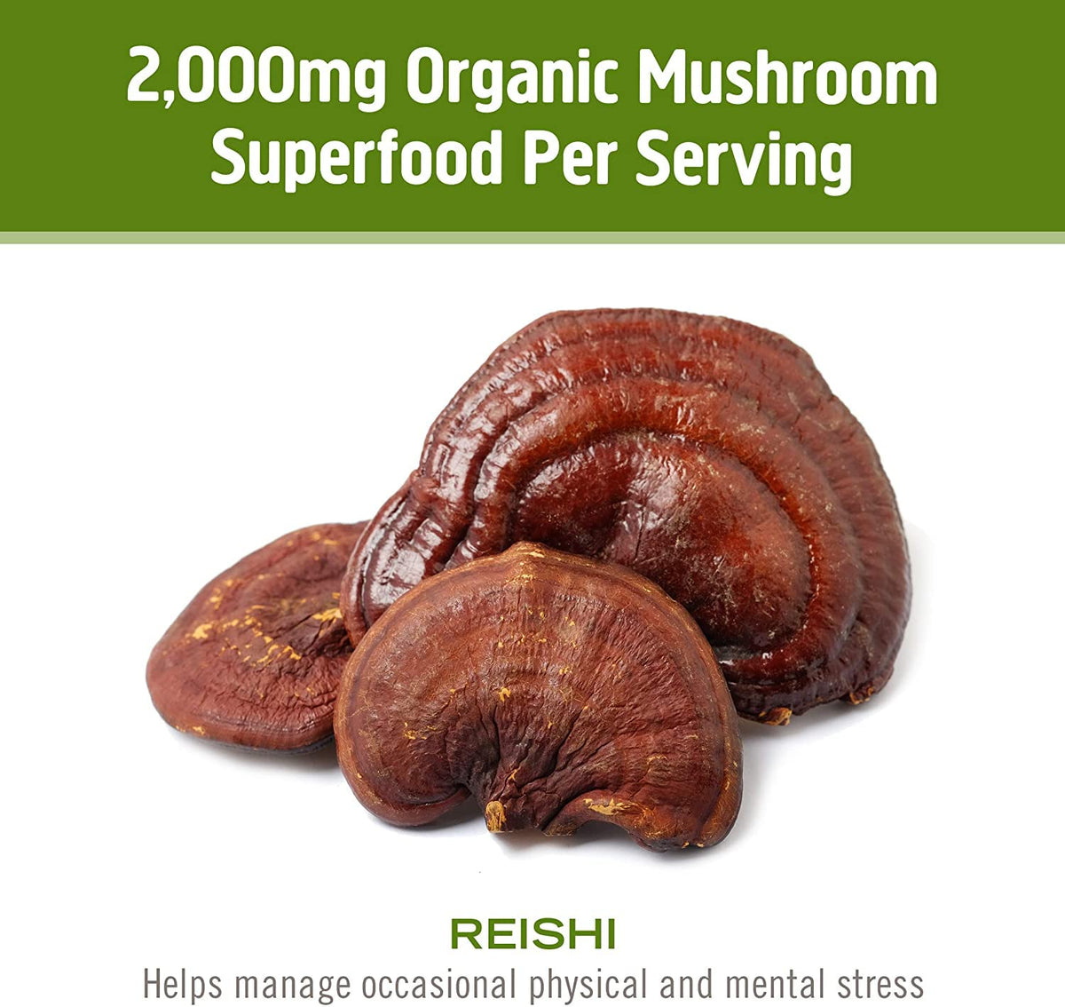 Vue de l'étiquette des capsules de champignon Reishi OM MUSHROOM SUPERFOOD