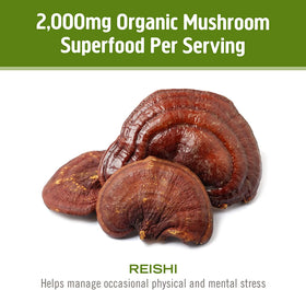 Vue de l'étiquette des capsules de champignon Reishi OM MUSHROOM SUPERFOOD