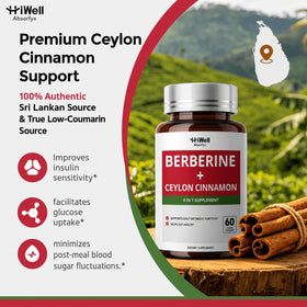 Vue de l'étiquette du flacon HiWell Absorfyx Berbérine