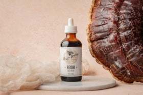 Vue de l'extrait de champignon Reishi sur une table en bois