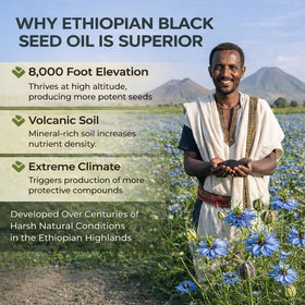 Vue de l'huile de graines noires PURELYNUTRIENT dans un environnement naturel